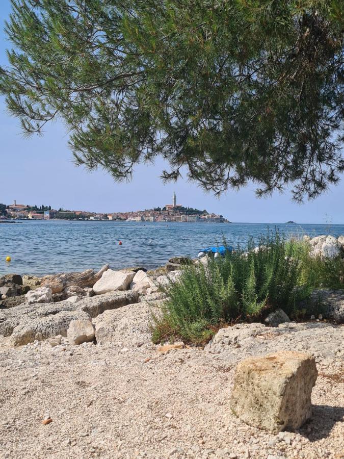 Hemy Casa - Lux Mobile Homes Campsite Rovinj